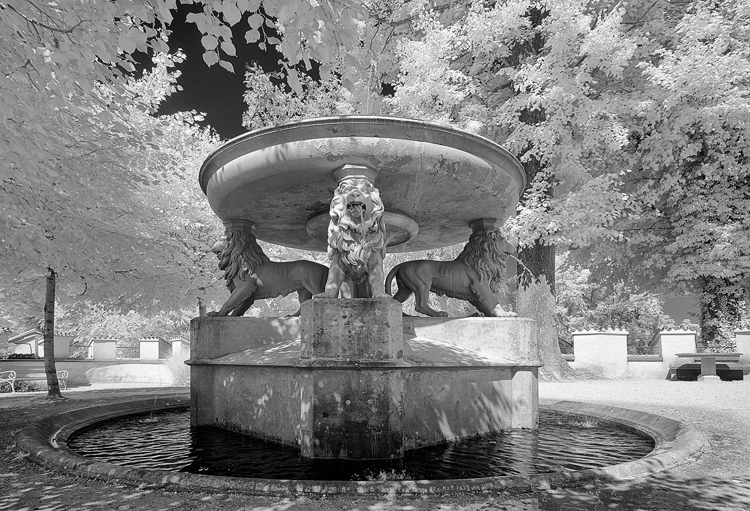 fountain-3055