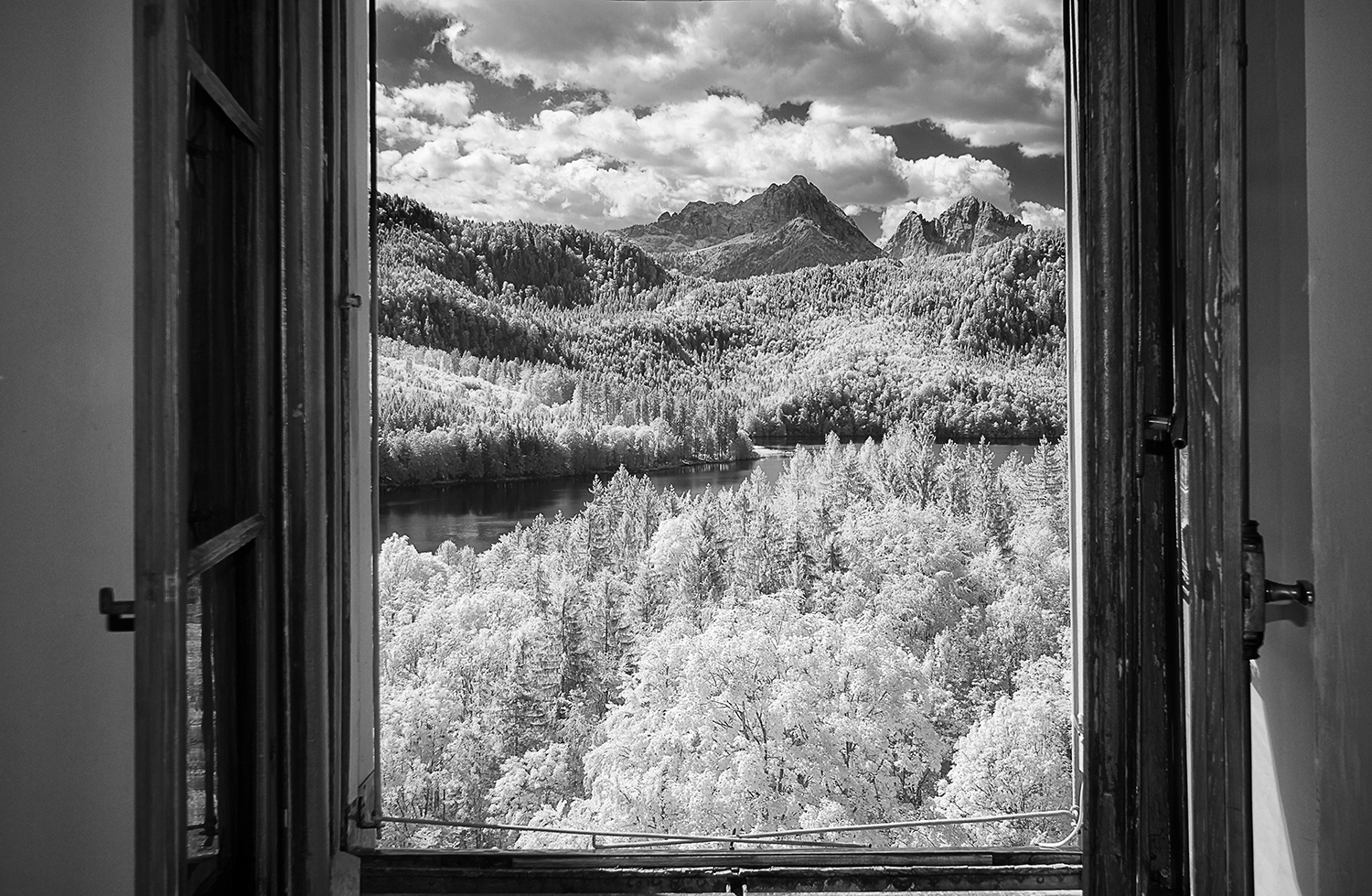 hohenschwangau-window-view-3045